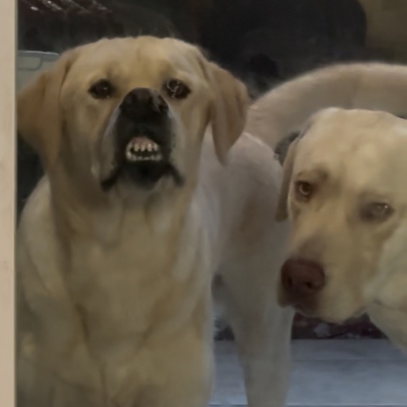 Meet your Poshers , Erin & Darryl - Picture 3 of 7